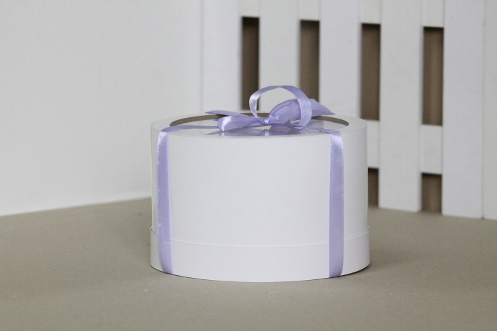 Коробка для бенто 16/10 БЕЛАЯ